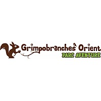 GRIMPOBRANCHES ORIENT