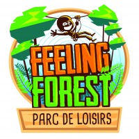 FEELING FOREST